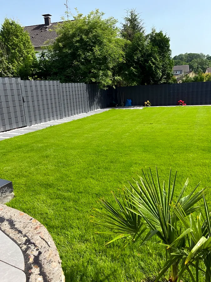 Neu angelegter Garten mit Rasenfläche und Palme